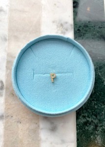 Alphabet crystal stud P Forgyldt Pico 