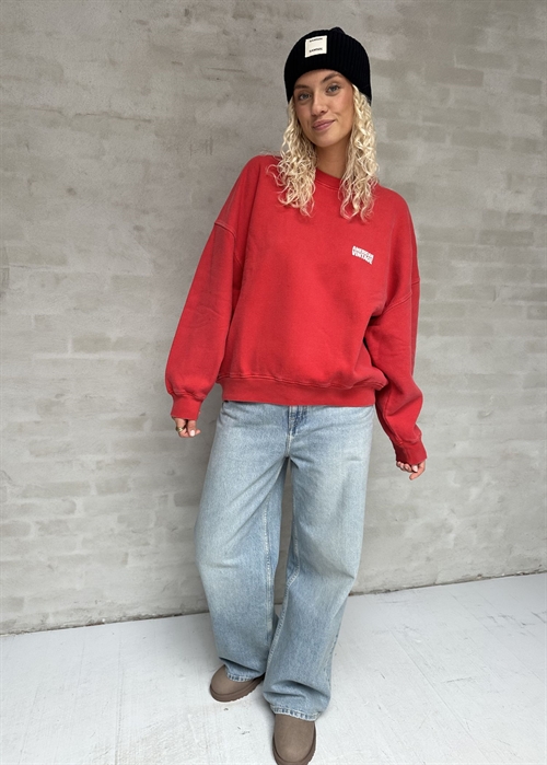 Plizzy sweat Vintage Volcano American Vintage 