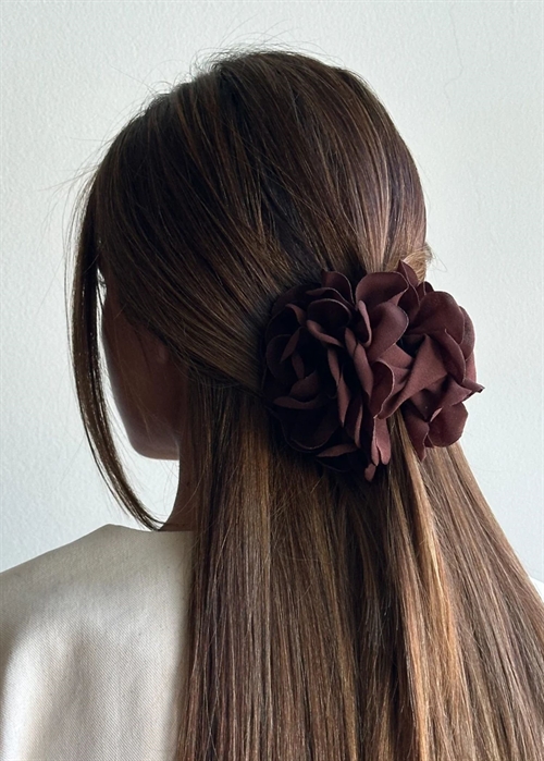 Rose claw Chocolate Pico 