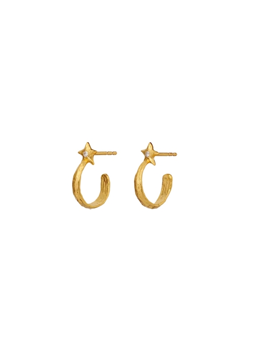 Winona petite earrings Forgyldt Maanesten
