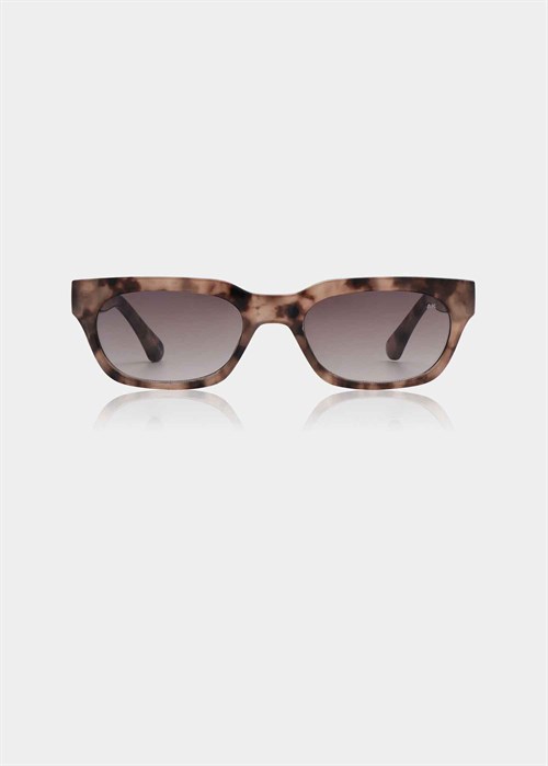 Bror solbrille Coquina A.Kjærbede 