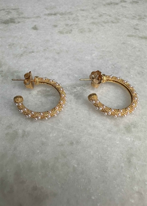 Akoya ørering Forgyldt Pico
