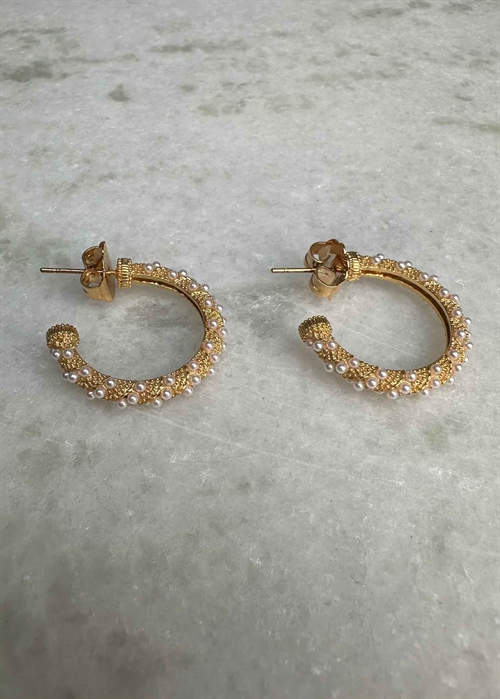 Akoya ørering Forgyldt Pico