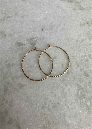 Alma medium hoops Forgyldt Pico 