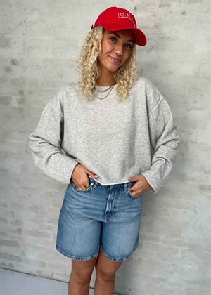 Kodytown sweat Polar Melange American Vintage 