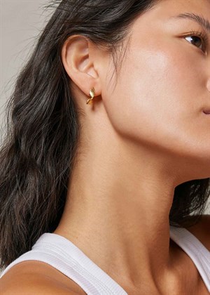 Daia hoops Forgyldt Enamel 