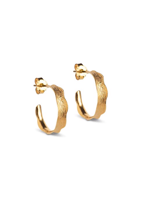 Ane small hoops Gold Enamel 