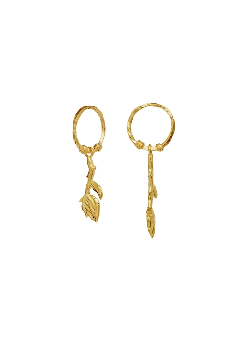 Rory earrings Forgyldt Maanesten 