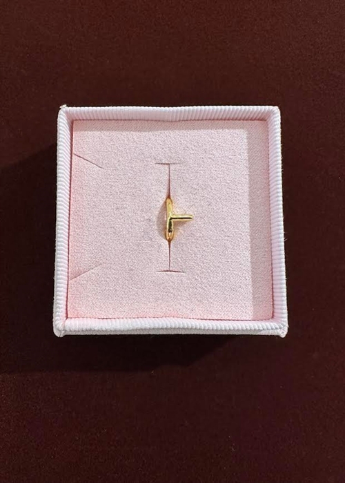 Spelling huggie L Forgyldt Pico 