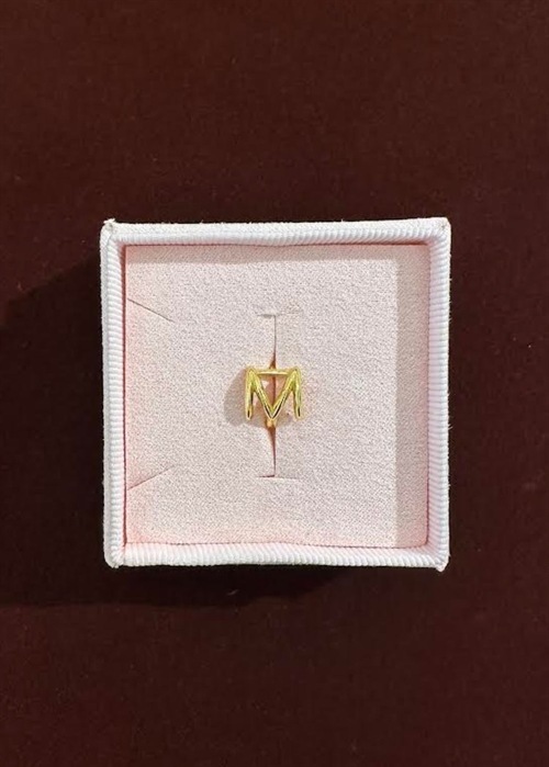 Spelling huggie M Forgyldt Pico 