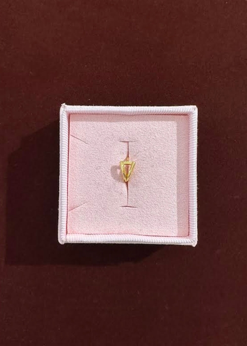 Spelling huggie V Forgyldt Pico 