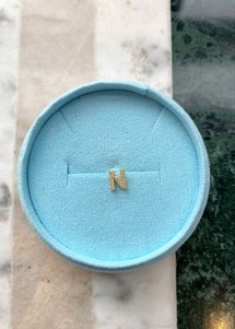 Alphabet crystal stud N Forgyldt Pico 