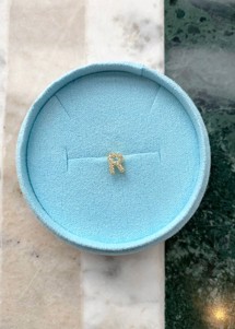 Alphabet crystal stud R Forgyldt Pico 