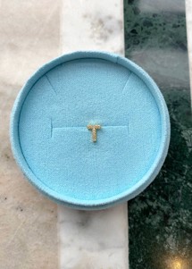 Alphabet crystal stud T Forgyldt Pico 