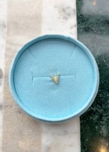 Alphabet crystal stud V Forgyldt Pico 
