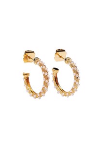 Akoya ørering Forgyldt Pico
