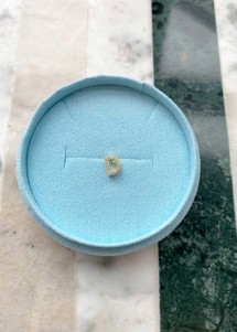 Alphabet crystal stud D Forgyldt Pico 