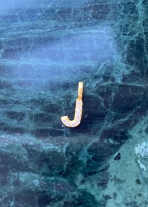 Alphabet pendant J Forgyldt  Pico 